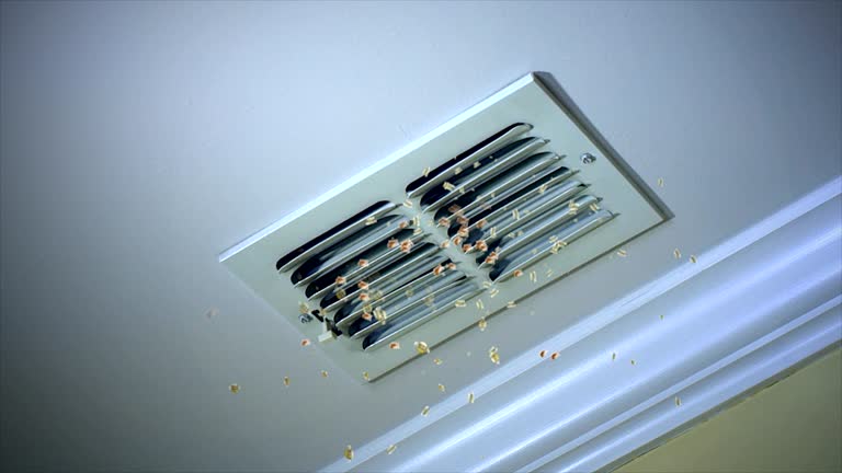 Best Dryer Vent Cleaning Services  in Stevenson Ranch, CA